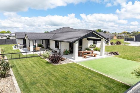 Photo of property in 6 Summer Eve Place, Matamata, 3400