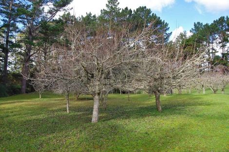 Photo of property in 704 State Highway 1, Wellsford, 0975