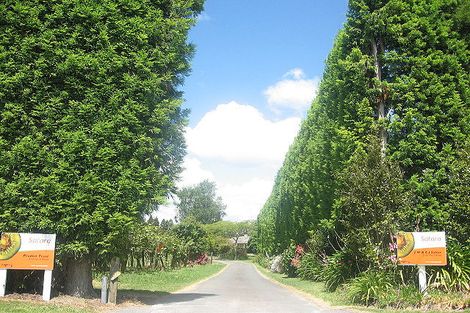 Photo of property in 527 No 2 Road, Te Puke, 3182