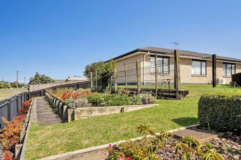 Photo of property in 2 Burns Street, Springvale, Whanganui, 4501
