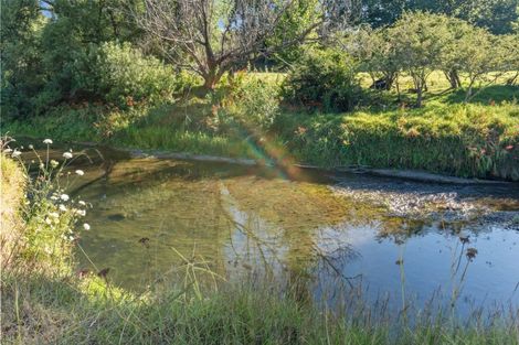 Photo of property in 19 Doel Road, Kawakawa, 0282