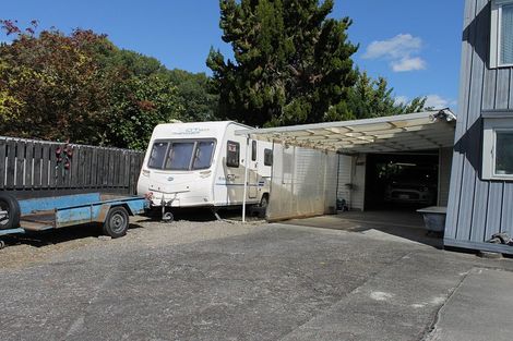 Photo of property in 19 Puketapu Crescent, Taumarunui, 3920