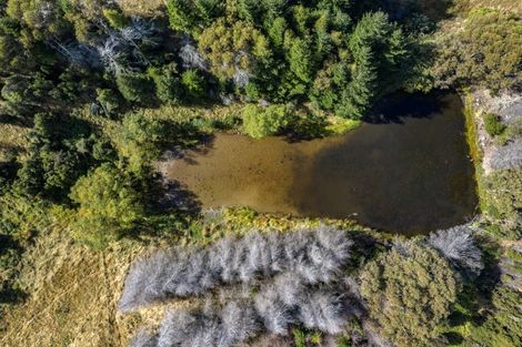 Photo of property in 253 Mount Lyford Forest Drive, Lyford, Waiau, 7395