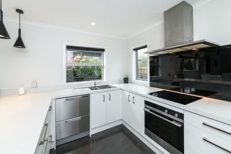 Photo of property in 83b Fitzroy Street, Terrace End, Palmerston North, 4410