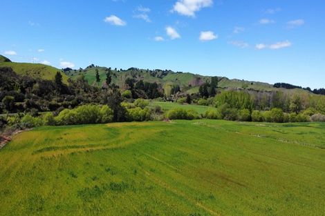 Photo of property in 6068 State Highway 4, Taumarunui, 3996