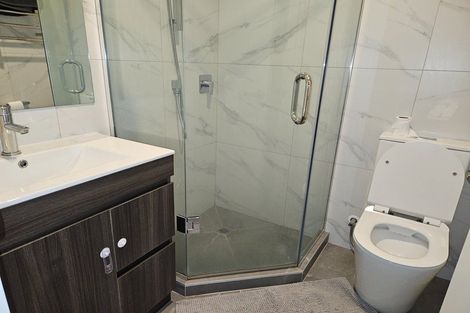 Photo of property in 17 Treeline Lane, Flat Bush, Auckland, 2019