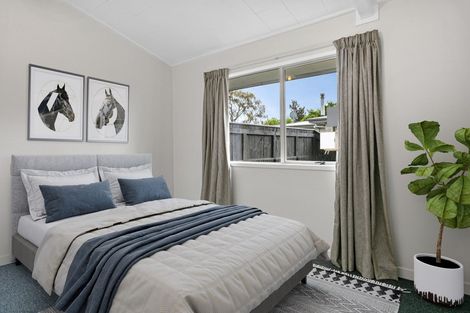 Photo of property in 65 Hinekura Avenue, Taupo, 3330