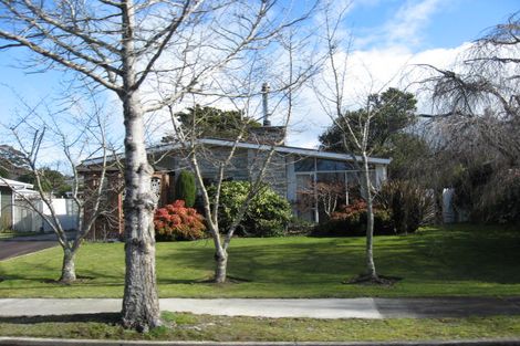 Photo of property in 19 Plunket Street, Solway, Masterton, 5810