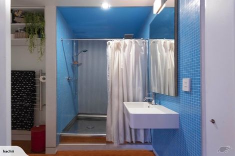 Photo of property in 81 Aro Street, Aro Valley, Wellington, 6021