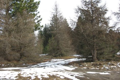 Photo of property in 24 North West Arch, Twizel, 7901