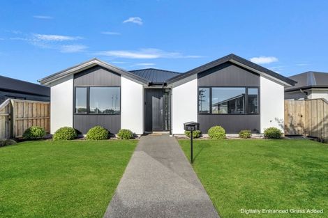 Photo of property in 63 Pegasus Main Street, Pegasus, 7612