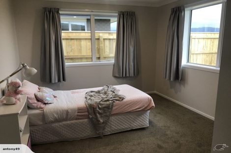 Photo of property in 87 Hinemoa Street, Levin, 5510