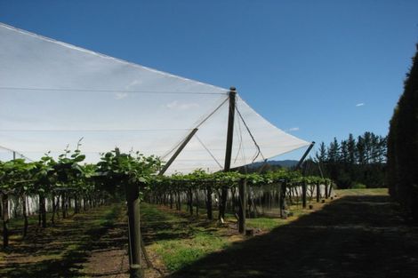 Photo of property in 1082 Te Matai Road, Te Ranga, Te Puke, 3188