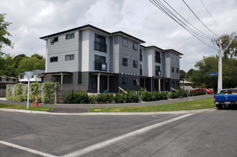 Photo of property in 48a Helena Road, Hillcrest, Hamilton, 3216