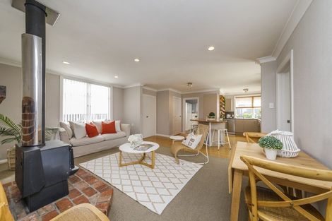 Photo of property in 19 Giesen Road, Feilding, 4702