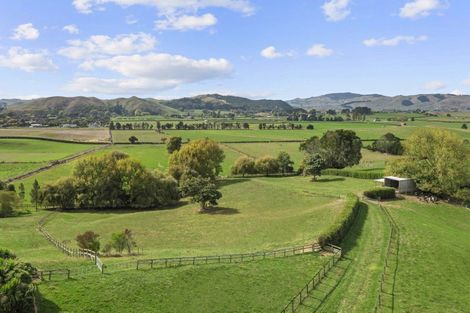 Photo of property in 1146 Victoria Road, Tauwhare, Hamilton, 3287