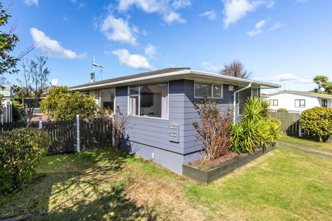 Photo of property in 49 Ohuanga Road, Turangi, 3334