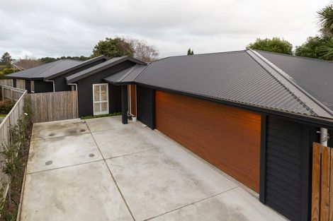 Photo of property in 68b Manson Street, Terrace End, Palmerston North, 4410