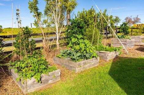 Photo of property in 667 Kaiwaka-mangawhai Road, Hakaru, Wellsford, 0975