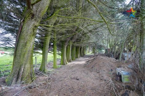 Photo of property in 551 Mill North, Roslyn Bush, Invercargill, 9876