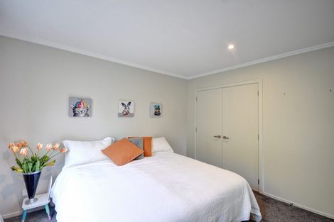 Photo of property in 47 Connell Street, Waverley, Dunedin, 9013