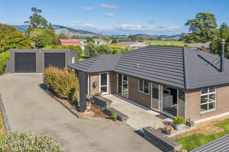 Photo of property in 418 Tararua Road, Levin, 5571