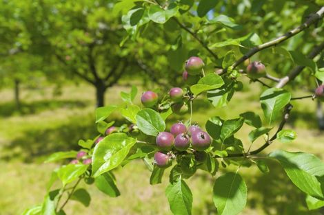 Photo of property in 234 Te Hapua Road, Te Horo, Otaki, 5581