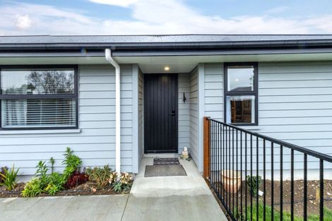 Photo of property in 22 David Street, Hinds, Ashburton, 7773