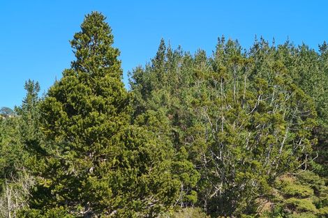 Photo of property in 110 Wood Road, Colville, Coromandel, 3584