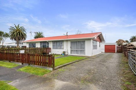 Photo of property in 23b Collingwood Street, Levin, 5510