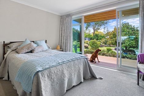 Photo of property in 23 Taniwha Street, Paeroa, 3600