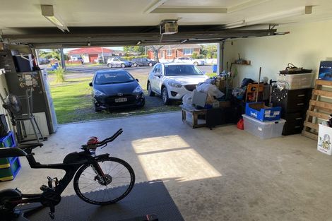 Photo of property in 38 Buscomb Avenue, Henderson, Auckland, 0610