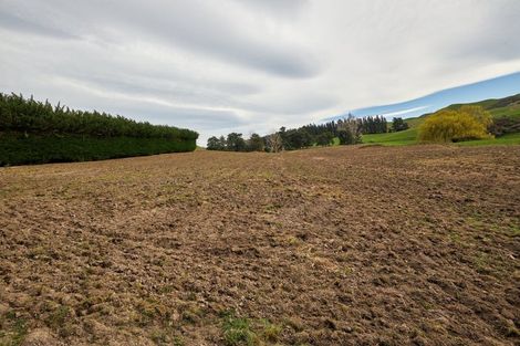 Photo of property in 98 Fosters Road, Cheviot, 7383