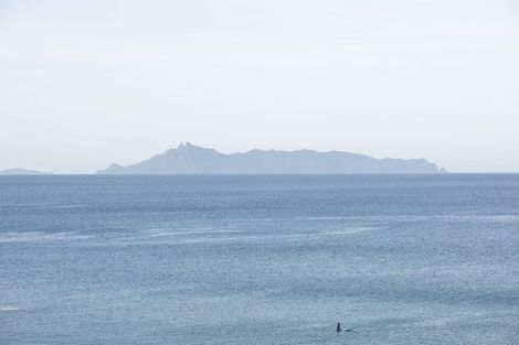 Photo of property in 36 Aroha Road, Te Arai, Wellsford, 0975