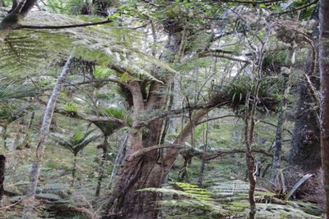 Photo of property in 1563 Duncan Road, Kaitaia, 0482