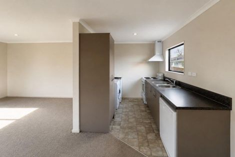 Photo of property in 100a Fairfield Road, Fairfield, Hamilton, 3214