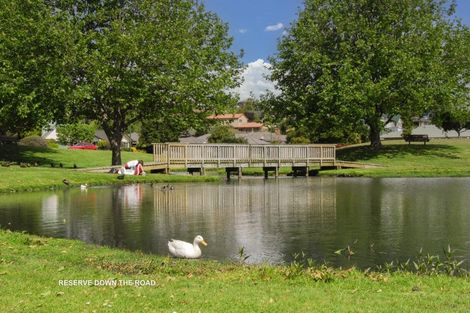 Photo of property in 16 Edwin Grove, Bethlehem, Tauranga, 3110