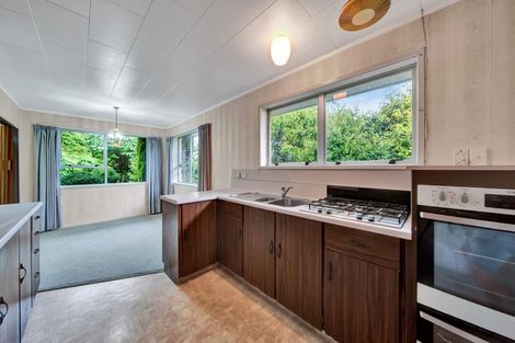 Photo of property in 5 Ulysses Street, Stratford, 4332