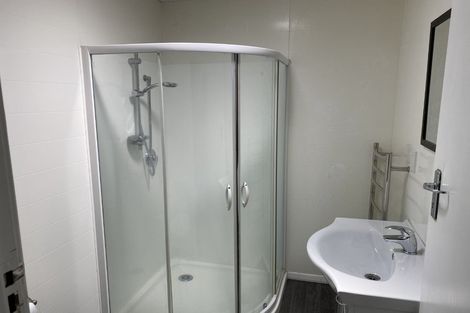 Photo of property in 411 Hastings Street South, Akina, Hastings, 4122