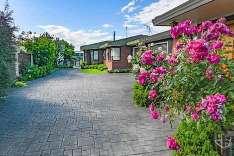 Photo of property in 2/14 Palmer Place, Parkvale, Hastings, 4122