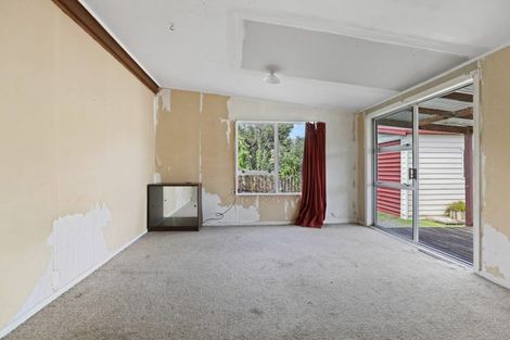Photo of property in 164 Taumarunui-ngapuke Road, Taringamotu, Taumarunui, 3994