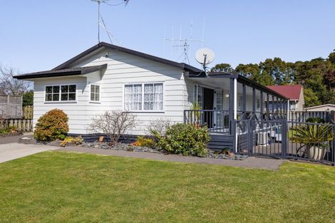 Photo of property in 46a Waterford Road, Fitzroy, Hamilton, 3206