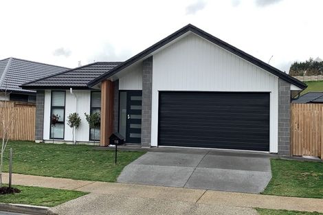 Photo of property in 118 Whakaturou Crescent, Pyes Pa, Tauranga, 3112