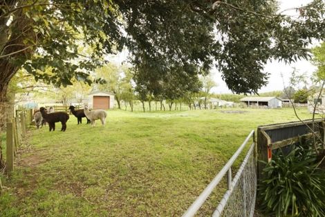 Photo of property in 229 Kellow Road, Rongotea, Palmerston North, 4476