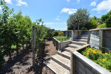 Photo of property in 79 Ruakaka Beach Road, Ruakaka, 0116