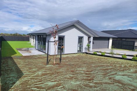 Photo of property in 25 Rawiri Street, Kaiti, Gisborne, 4010