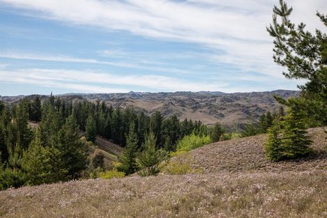 Photo of property in 92a Gilligans Gully Road, Alexandra, 9320