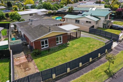 Photo of property in 46 Fitzroy Avenue, Fitzroy, Hamilton, 3206