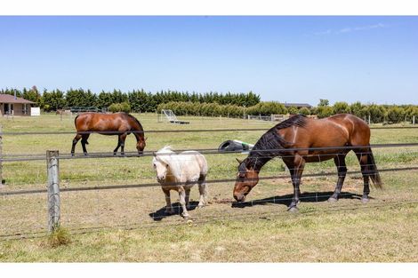 Photo of property in 60 Rands Road, Fernside, Rangiora, 7471