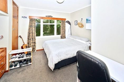 Photo of property in 237 Boucher Avenue, Te Puke, 3119